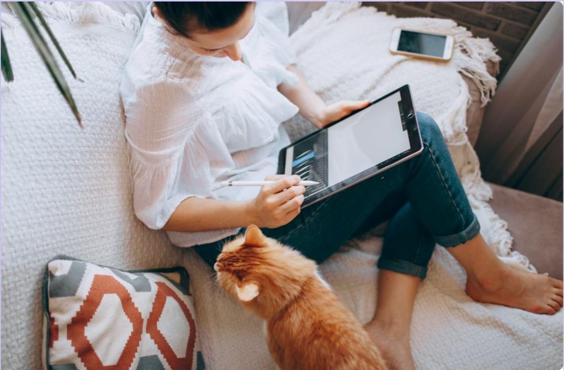 Free professional courses in Germany