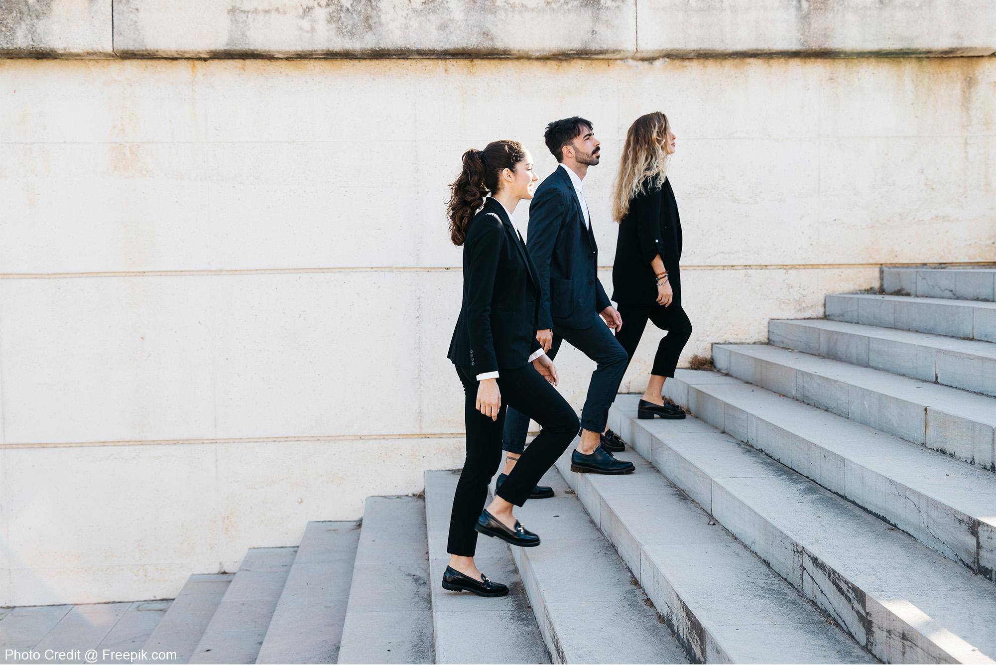 Career Laddering in Information Technology